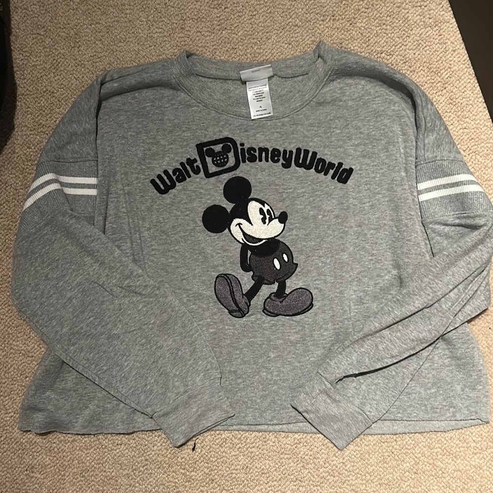 Disney grey crop top sweatshirt- so soft inside.